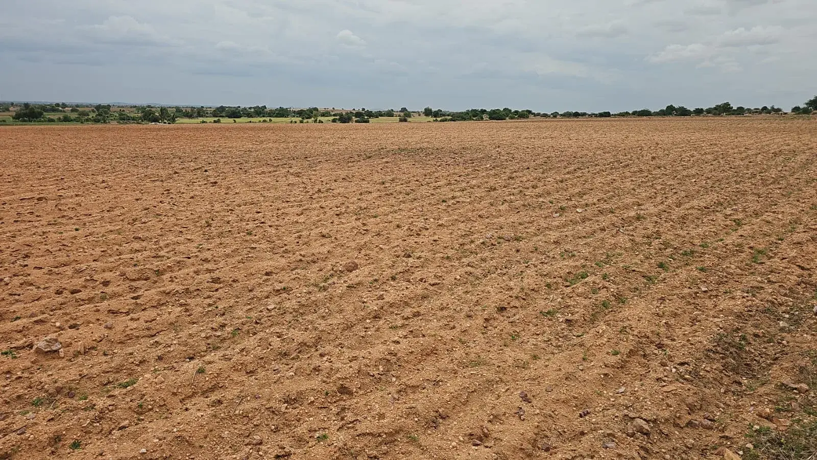 A closer look at the property near Dholera Smart City