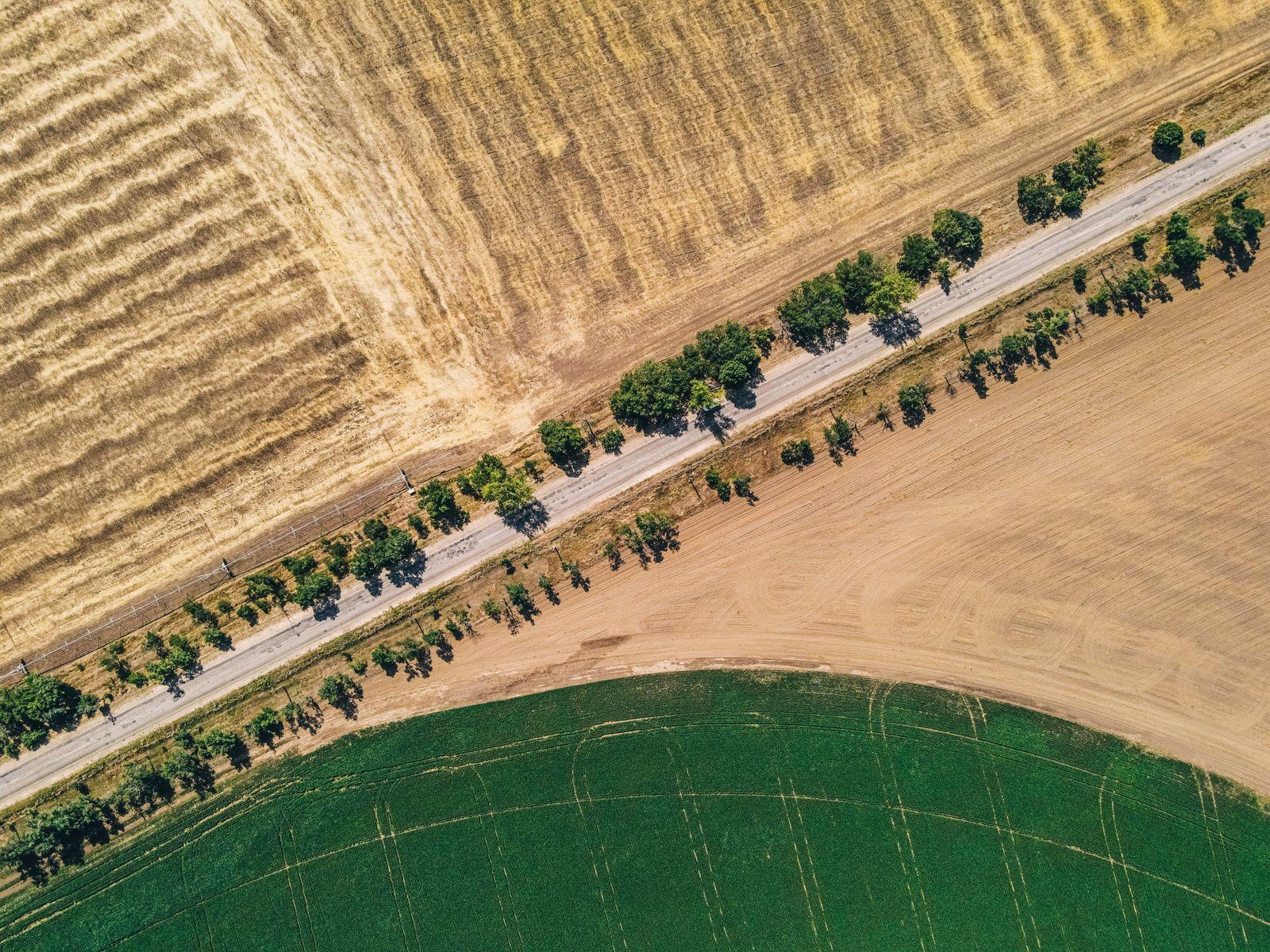 Land near Dholera with road access
