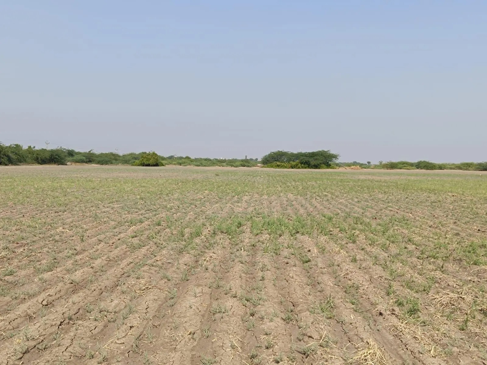 Property — Field View