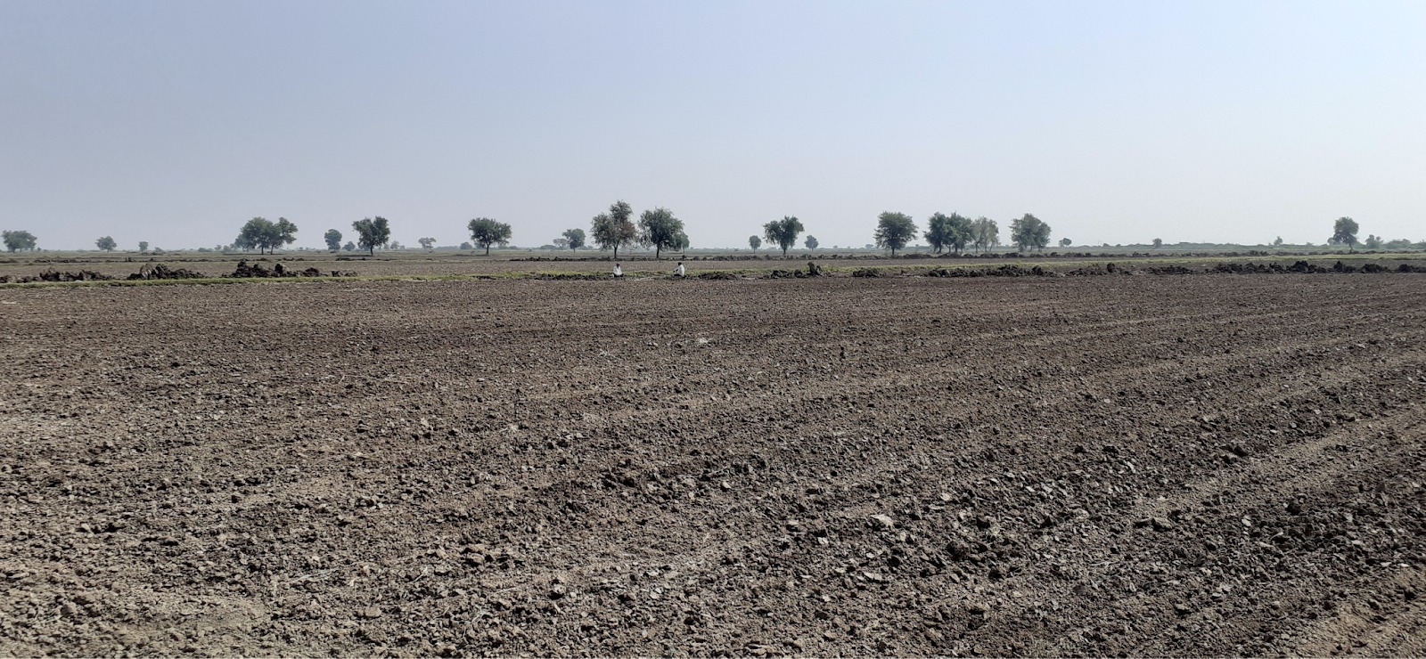 Surrounding Area