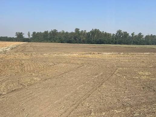 Property — General View
